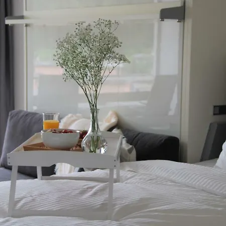 公寓 Davos Holiday Apartment 达沃斯