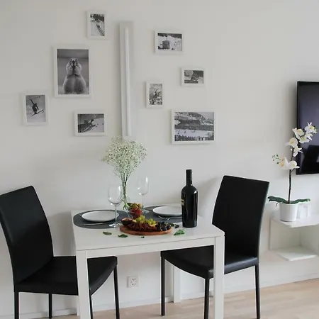 公寓 Davos Holiday Apartment *